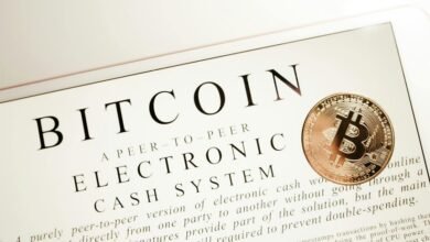 backlink campaign search visibility