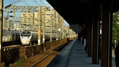 creative online hub digital network